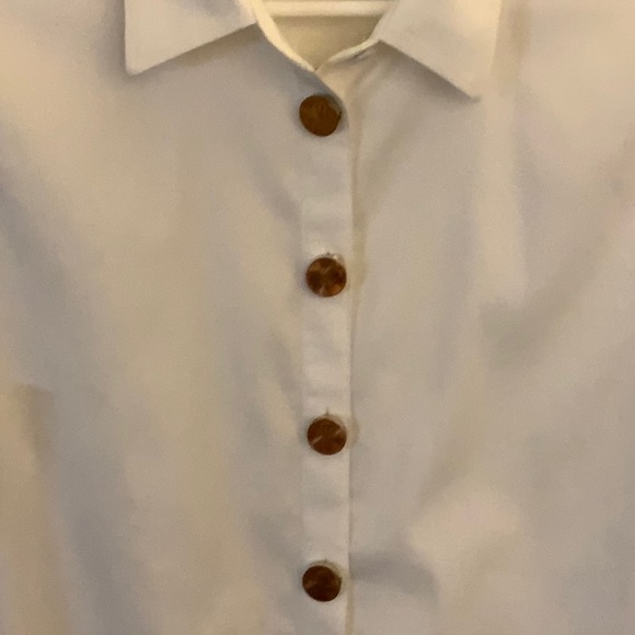 Pennies Button clip covers! Upgrade your blouse$ - Picture 3 of 3